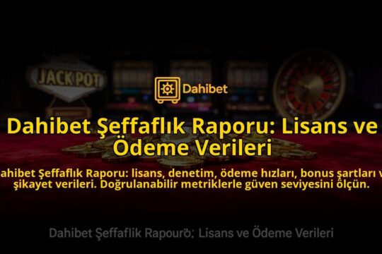 Dahibet-Seffaflik-Raporu-Lisans-ve-Odeme-Verileri-overlay-1784473680.jpg